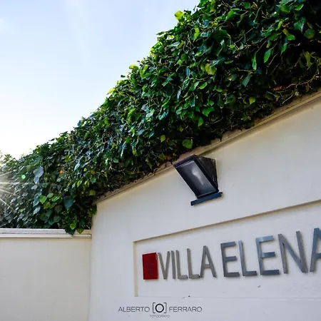 Elena Villa *